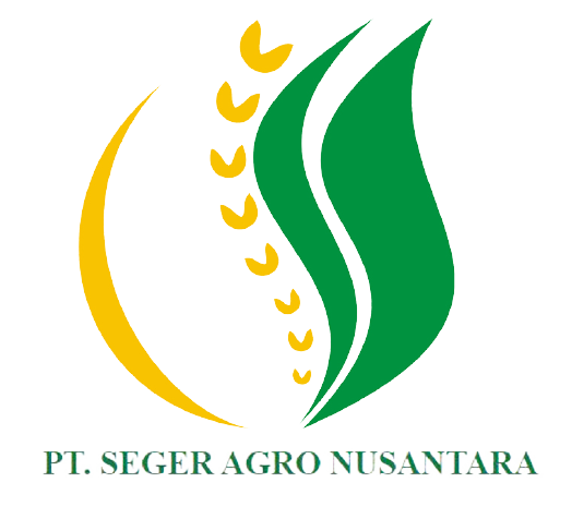 SAN Logo